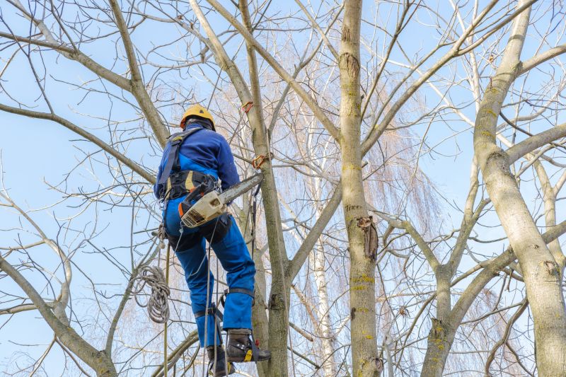 Safety Tree Trimming